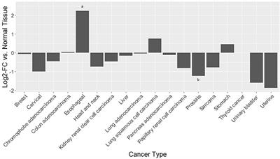 Review and Meta-Analyses of TAAR1 Expression in the Immune System and Cancers